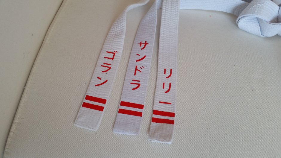 Individualni dizajn pasov